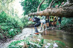 BIB: 
                            <button type="button" onclick="openModal(25473771)" class="btn btn-primary btn-sm float-right btn-popup" data-toggle="modal" data-target=".modal-high-quality">
                        <i class="fas fa-shopping-cart"></i> Add to Cart
                    </button>
                                            <button type="button" onclick="isThisMe(25473771, true)" class="btn btn-success btn-sm float-right btn-popup btn-isme hidden" data-toggle="tooltip" data-placement="bottom" title="นี่คือรูปของคุณใช่ไหม คลิกที่นี่เพื่อเอาเข้าอัลบั้ม">
                        <i class="fas fa-plus"></i> Add to album
                    </button>
                    <button type="button" onclick="isThisMe(25473771, false)" class="btn btn-warning btn-sm float-right btn-popup btn-isnotme hidden">
                        <i class="fas fa-ban"></i> Remove from album
                    </button>